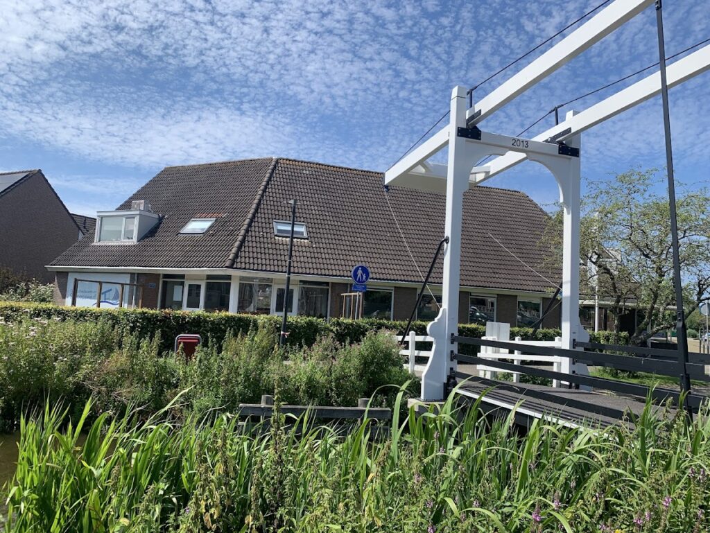 Waves of Qi acupunctuur Leidschendam